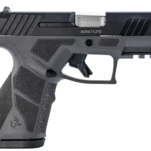 GX2 9MM 3.38" Gry/Blk (2) 10-rd