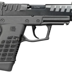 P15 9mm 4.0" Blk (2)10-rd CA