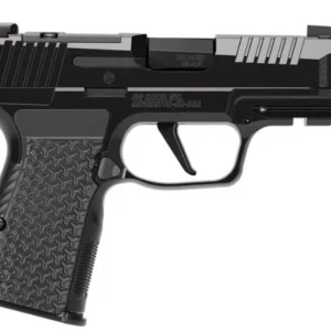 P365 AXG LUXE 380ACP 3.1 OR Xray3 Blk (3)12rd