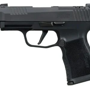 P365XL Comp 380 ACP 3.1" OR XRAY3 BLK 2/12rd