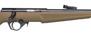 RB22 COMPACT 22LR 16.5" 10RDS BLK/FDE