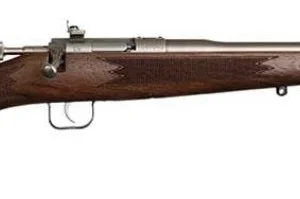 Chipmunk Dlx Youth 22 LR 16.1" Walnut/SS 1rd