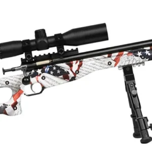 Crickett Precsn 22LR Pkg 16.12" Amendment 1rd