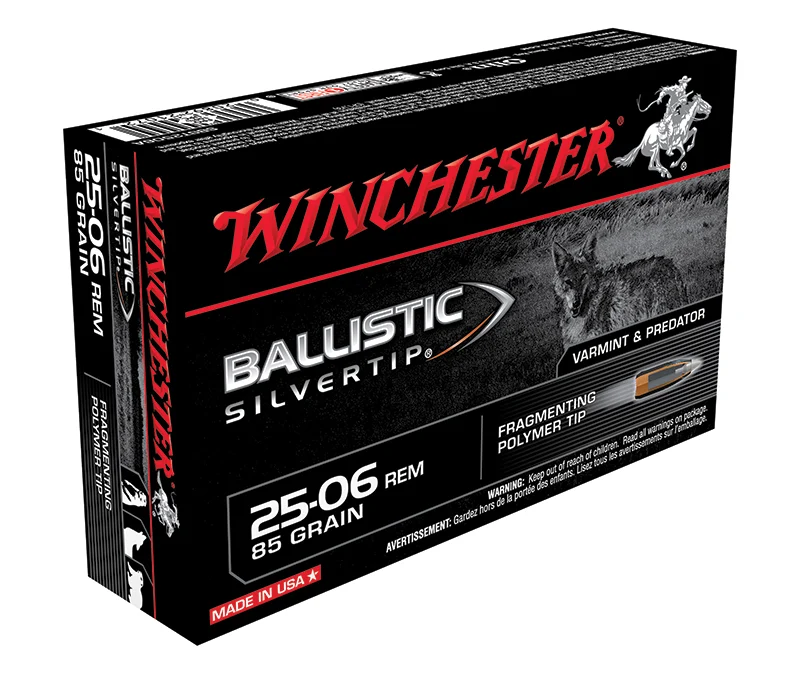 BallisticST 2506 REM 85gr 20/bx