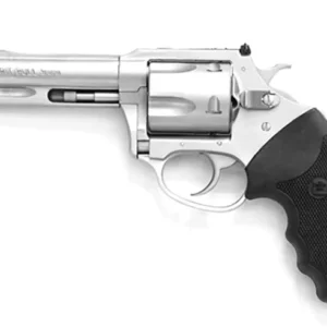 Char Pit Bull 9mm 4.2" SS/Adj Sights 5rd