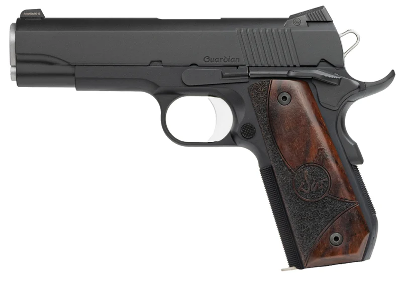 Dan W Guardian 45ACP 4.25" Blk TNS 8rd