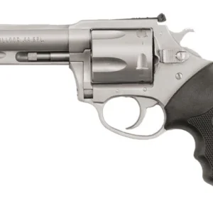 Char Bulldog 44Spl 4.2" SS/Adj Trgt 5rd