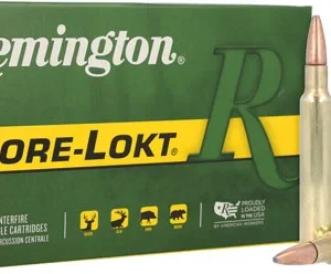 REMINGTON 300 WBY MAGNUM 180GR - CORE-LOKT PSP 20RD 10BX/CS