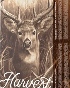 BARNES HARVEST 308 WIN 165GR - TIPPED GAMEKING 20RD