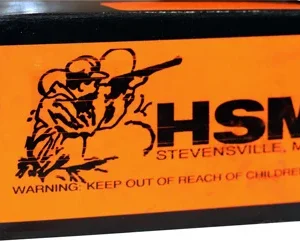 HSM SUBSONIC 40 SW 180GR - LEAD-FN 50RD 20BX/CS