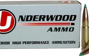 UNDERWOOD 300 AAC 125GR BT - 20RD 10BX/CS