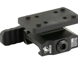 AM DEF LW TR DPP/EFLX QD CO-WITNESS