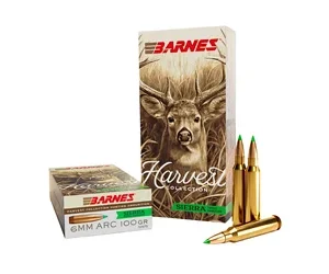 BARNES HARV ST 6MM ARC 100GR 20/200