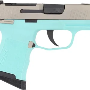 SIG P365 MIC COMP 380ACP 3.1" - XRAY-3 OR (2)10RD ROB EGG/NICK