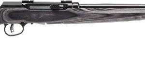 SAVAGE A17 17HMR HVY BBL 22" - ACCU TGR BLU/GRY LAM SPORTER