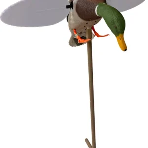 MOJO SILVER MALLARD 25TH - ANNIVERSARY