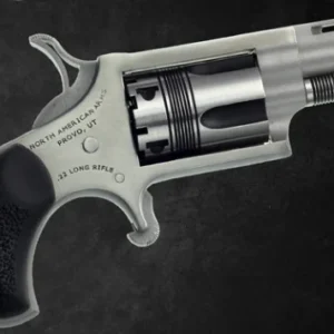 NORTH AMERICAN ARMS THE WASP 22LR REV 1-1/8" SS