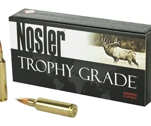 NOSLER 300WSM 180GR AB 20/200