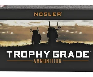 NOSLER TG 243WIN 100GR PT 20/200