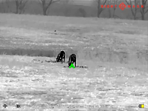 SIGHTMARK WRAITH MINI 2-16X35 - THERMAL RIFLE SCOPE 384X288 - Image 8