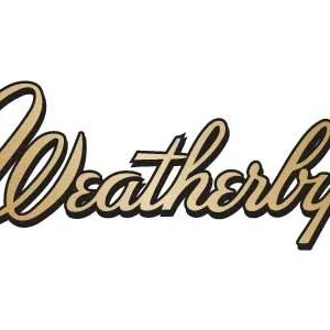 WEATHERBY VANGUARD BLACKHILLS 350LEG 20"