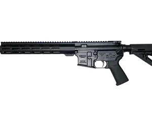 WMD BEAST 5.56 16" 30RD BLK