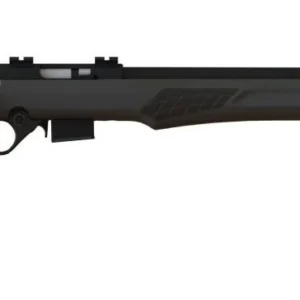 ROSSI RB17 17HMR BLK/SYN 21" 5+1