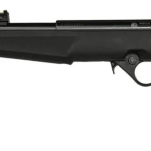 ROSSI RB22 22LR BLK/SYN FLAG 16.5" #