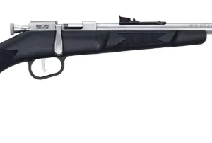 HENRY REPEATING ARMS MINI BOLT 22LR SS/SYN