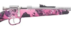 HENRY REPEATING ARMS H5 MINI BOLT G2 22LR SS/MUDDY