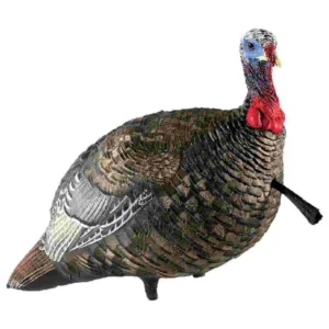 Avian-X LCD Quarter-Strut Jake Turkey Decoy