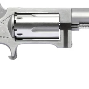 NAA SIDEWINDER 2.5" BRL 22M/22LR MINI REV