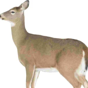 Montana Decoy Co Dreamy Doe Decoy