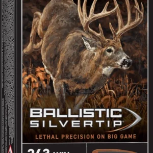 WINCHESTER BALLISTIC SILVERTIP 243WIN 95GR 20RD BX 200RD CASE