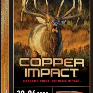 WINCHESTER COPPER IMPCT 3006SPFLD 180G LF 20RD BX 200RD CASE