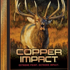 WINCHESTER COPPER IMPCT 300WM 180G LF 20RD BX 200RD CASE