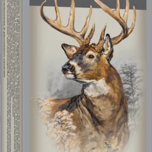 WINCHESTER SPR-X 243WSSM 100GR PP