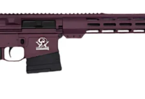 GREAT LAKES GL10 308WIN RFL 18" BLK CHERRY/NITRIDE 1-10RD