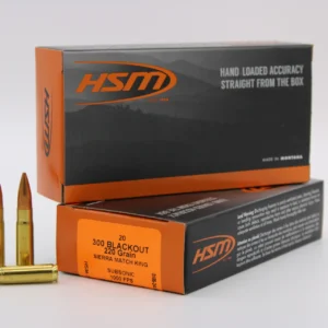 HSM AMMO 300 AAC 220GR HPBT SUB 20RD BOX 25 BOXES PER CASE