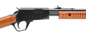 ROSSI GALLERY 22LR BL/WD 18" 15+1
