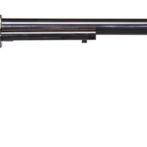 HERITAGE MANUFACTURING 22LR/22M WYATT EARP CCH 12" #